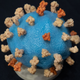 A model of SARS-COV-2, the coronavirus that causes covid-19